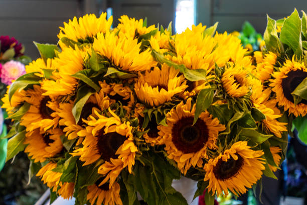 istock Sunflower Bouquet in Pikes Place 1192339992