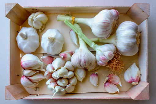 Young garlic in a vegetable box. Concept- organic vegetables, healthy food.