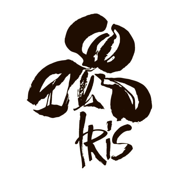 kwiat wektorowy. kwiatowe tło. atrament kaligrafii. stylizowana kaligraficzna przysłona atramentu. - iris ink and brush sign flower stock illustrations