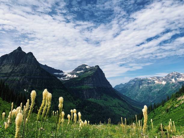 istock Mountain Pass at Glacier National Park 1192346942