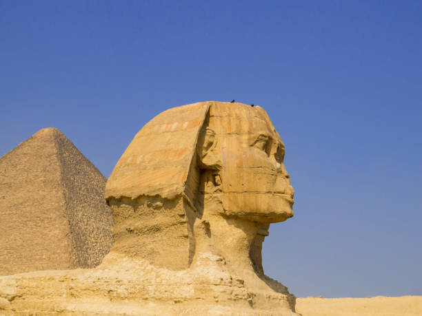 istock Great Sphinx of Egypt 1192347581