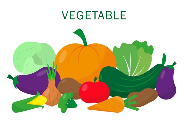 illustrations, cliparts, dessins animés et icônes de ensemble de légumes sur le fond blanc. illustration de vecteur. - fruits et légumes