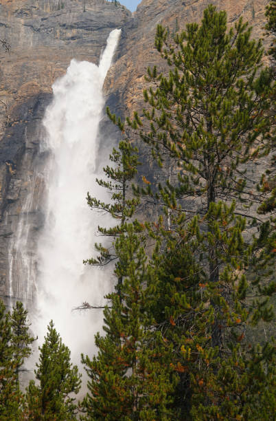 istock Takakkaw Falls from the forest floor 1192356640