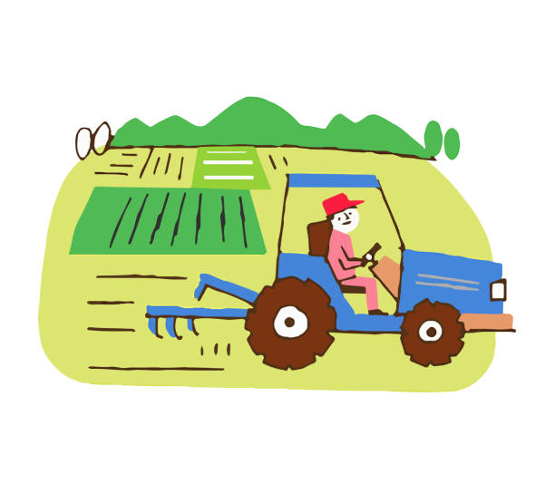 illustrations, cliparts, dessins animés et icônes de scène de labourdage d'un domaine avec un tracteur - plowed field field fruit vegetable