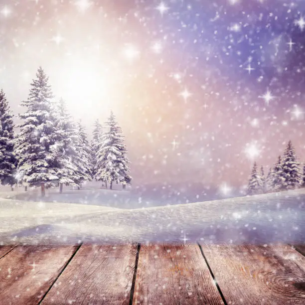 Winter Christmas scenic background with copy space. Morning Snow landscape with christmas branches covered with snow , sunlight, snowdrifts and falling snow on nature outdoors."n