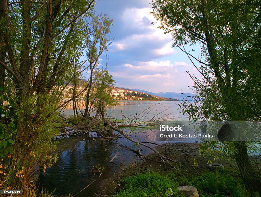 Hồ Orestiada Và Thành Phố Kastoria Hy Lạp Nhìn Qua Cây Cối Ảnh Phong Cảnh  Đẹp Như Tranh Vẽ Hình ảnh Sẵn có - Tải xuống Hình ảnh Ngay bây giờ - iStock