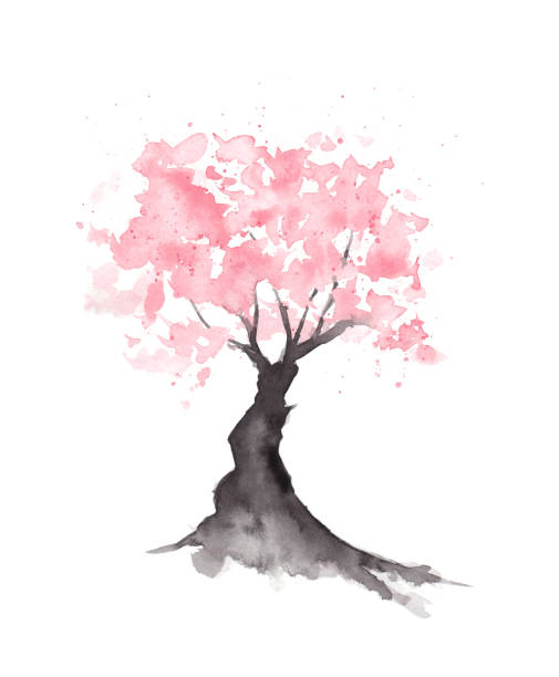 illustrazioni stock, clip art, cartoni animati e icone di tendenza di albero astratto dei fiori di ciliegio sakura - pittura acquerello originale - oriental cherry tree