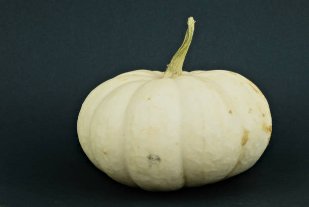 istock White Pumpkin, Pumpkin Lumina isolated on a black background 1192361569