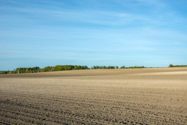 istock Large plowed field, trees on the horizon and clouds on blue sky 1192361798