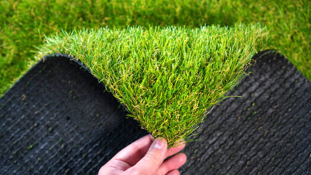 Hand holding an artificial grass roll. Greenering with an artificial turf. stock photo