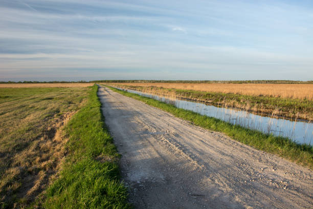 istock Gravel road through a meadow and water channel 1192368314