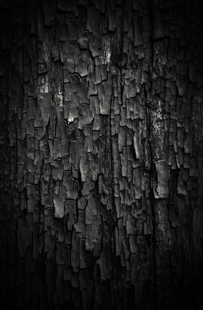 istock black charred wood texture with knots and cracks for background 1192377354