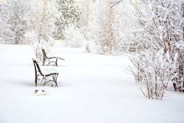istock Snow covered bench in a deserted park. Winter. Russia 1192378837