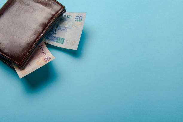 istock brown leather wallet with money 1192382633