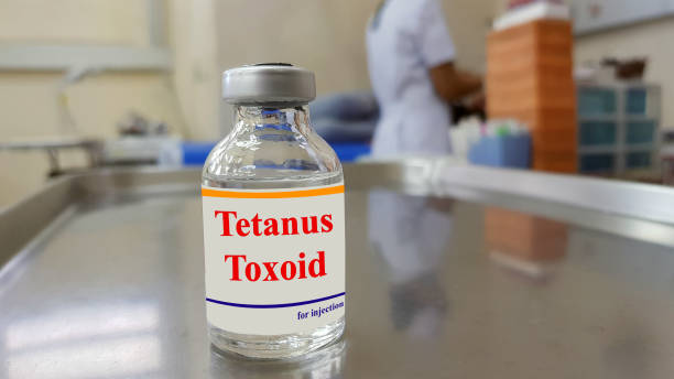 медицинская бутылка вакцины против столбняка с размытым фоном одевания медсестры раны. столбняк токсоид (тт), используемый дл�я предотвраще - tetanus стоковые фото и изображения
