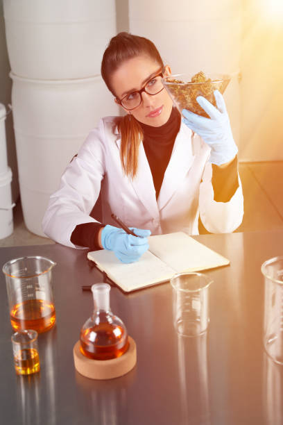 istock Woman Lab technician analyzing beaker of Hemp buds and CBD Oil 1192399931