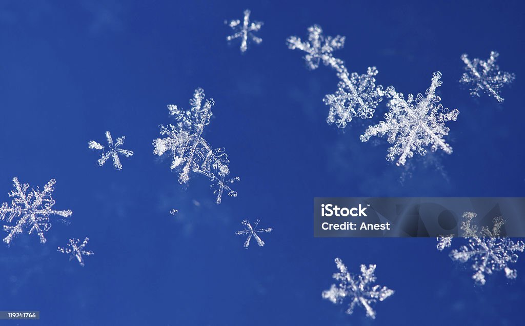Xmas snowflakes background  Backgrounds Stock Photo