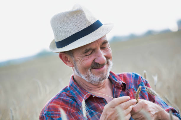 istock Senior farmer looking at wheat crop in field 1192419866