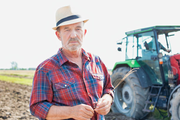 istock Senior farmer standing against tractor in field 1192420219