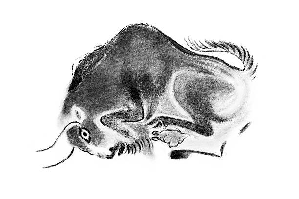 ilustraciones, imágenes clip art, dibujos animados e iconos de stock de bisonte americano de estilo prehistórica - art homage
