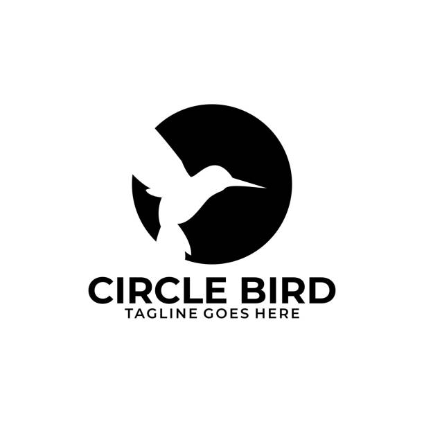 circle bird i̇llüstrasyon vektör şablonu - hayvan vücudu stock illustrations