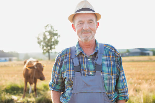 istock Senior farmer standing against cow in field 1192424172