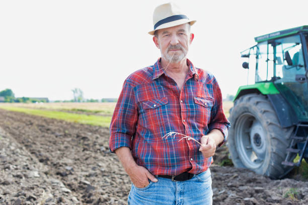 istock Senior farmer standing in field 1192426803