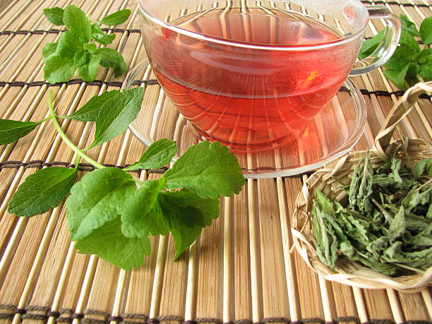 차 sweetened, 스테비아 달콤함 허브 - stevia tea herbal tea herb 뉴스 사진 이미지