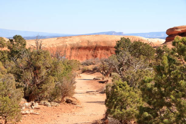 istock Devil's Garden trail, Arches National Park, Utah 1192429062