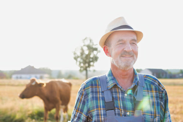 istock Senior farmer standing in field with lens flare 1192429986