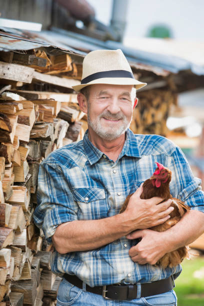 istock Senior farmer holding hen in farm 1192430908