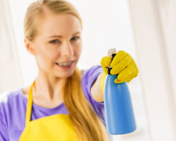 istock Girl cleaning window at home 1192432275