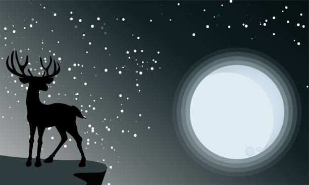 istock Deer looking at the full moon on night sky with stars. Vector illustration background. 1192439794