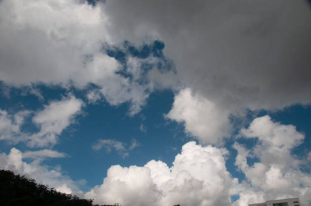 Nephology at its best. A beautiful meteorological sky cloudscape scene, with white cumulonimbus cloud formation in a mid blue sky. Atmospheric beauty in nature. New South Wales, Australia.
