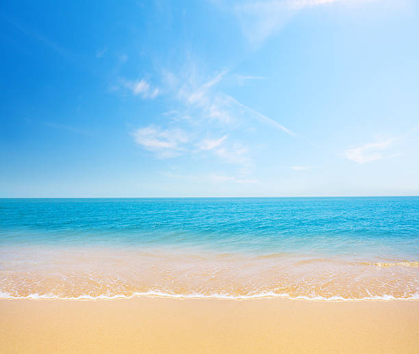 istock beach and tropical sea 119244114