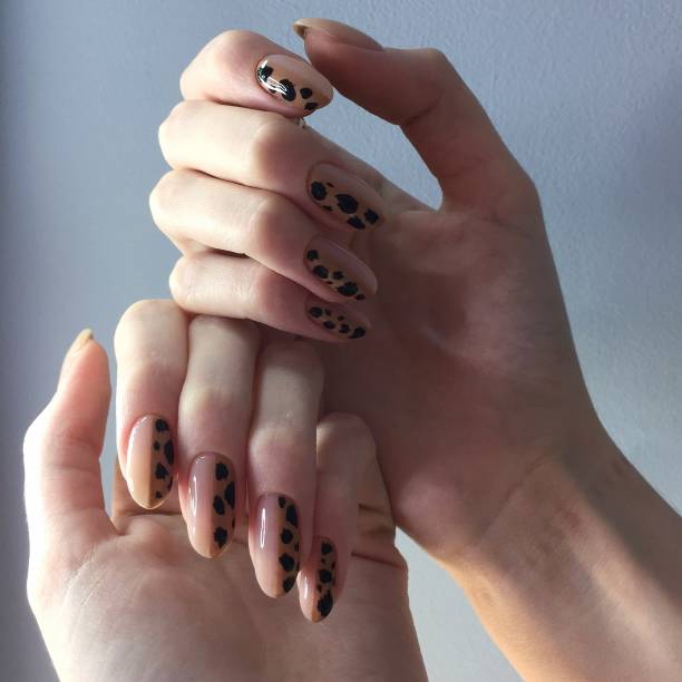 istock French manicure on women's thick handles with leopard design. 1192443579