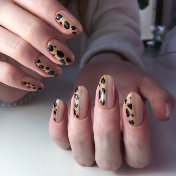 istock French manicure on women's thick handles with leopard design. 1192443672