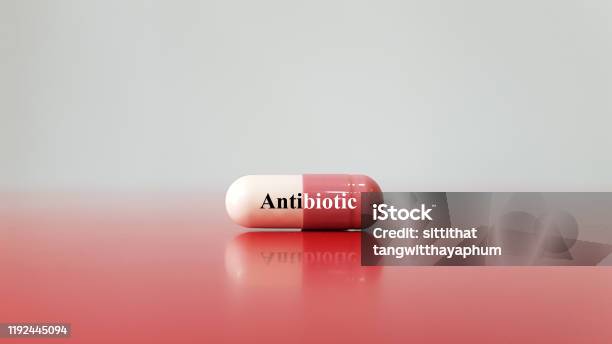 Capsule Of Medication Antibioticis Antimicrobial Substance Against Bacteria Used For Treatment Or Prevention Of Bacterial Infection Medical Infectious Disease And Rational Drug Use Concept Stock Photo - Download Image Now