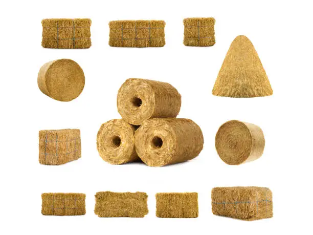 Photo of fuel briquettes of straw isolated on a white