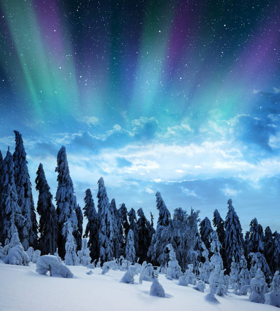 istock Snowy winter landscape in night. 1192447816