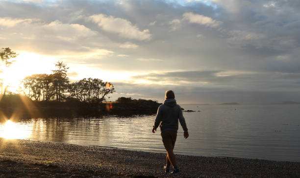 istock Mature man walks along beach at sunrise 1192448070