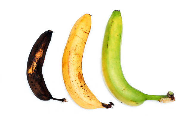 istock A picture of three ordinary bananas, without modifications 1192449706