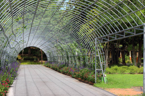 istock pathway with trees tunnel in garden park. 1192451163