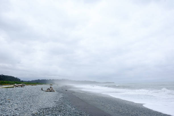 istock Wild West Coast Beach, New Zealand 1192455459