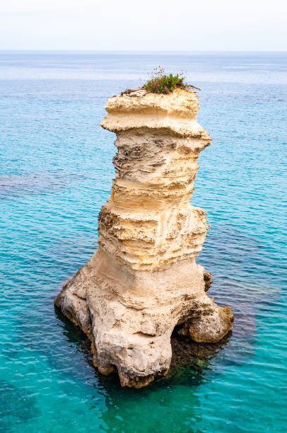 istock Sea stack. Torre Sant Andrea beach with its soft calcareous rocks and cliffs, small coves and the jagged coast landscape. Crystal clear water shape white stone create natural stacks. Melendugno Italy 1192461794