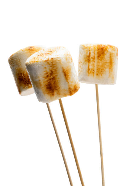 istock Big Marshmallow on a wooden stick isolated isolated on white 1192461957