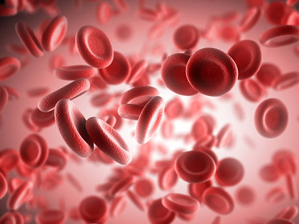 Red Blood Cells Red Blood Cells red blood cell stock pictures, royalty-free photos & images
