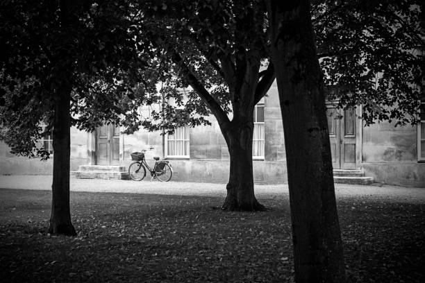 istock Loneliness in Cambridge, United Kingdom 1192462929