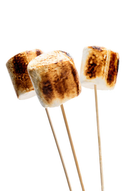 istock Big Marshmallow on a wooden stick isolated isolated on white 1192464115
