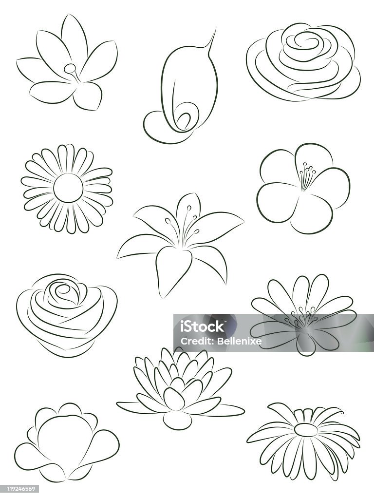 Set of flowers. Vector illustration.  Color Image stock vector